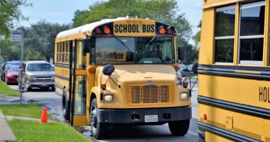 School bus, USA, yellow