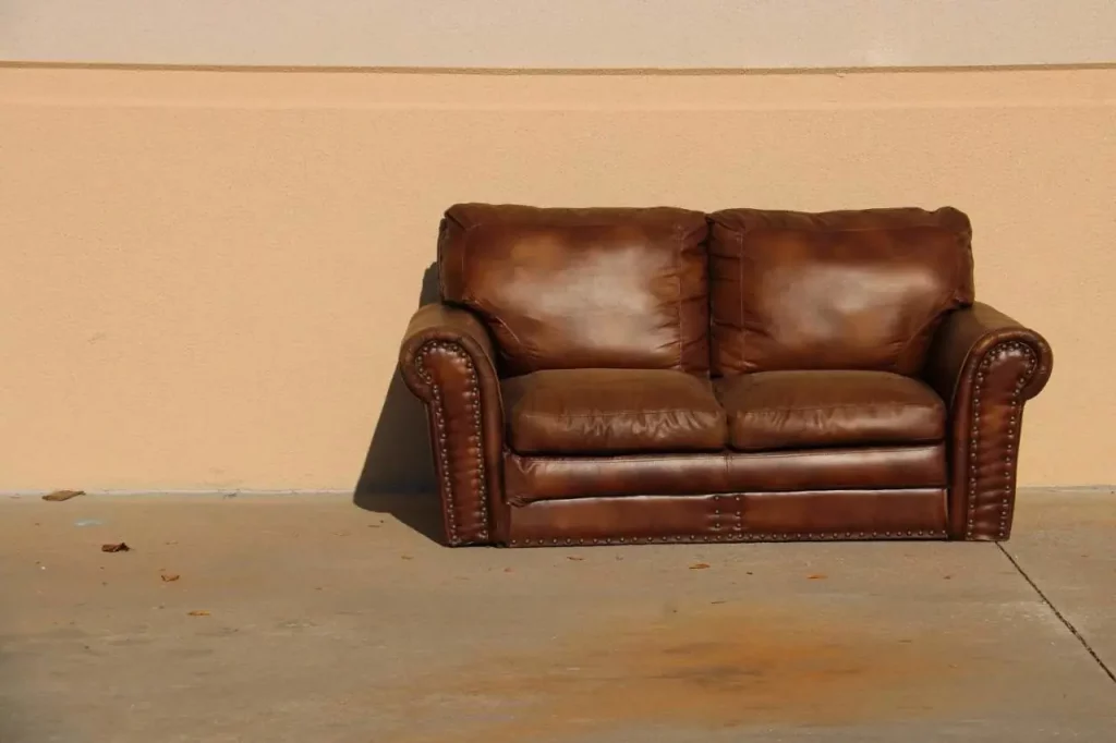 canapé sofa, cuir