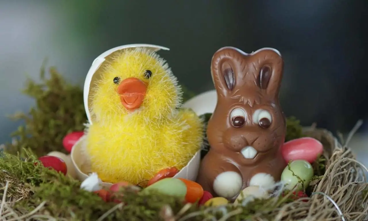 Du poisson d’avril à la fricassée en chocolat