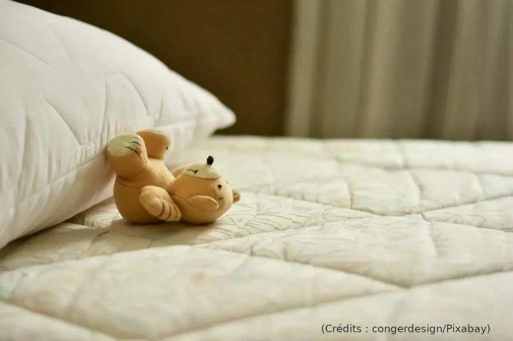 Peluche, literie, éco