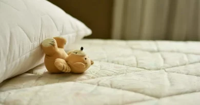 Peluche, literie, éco