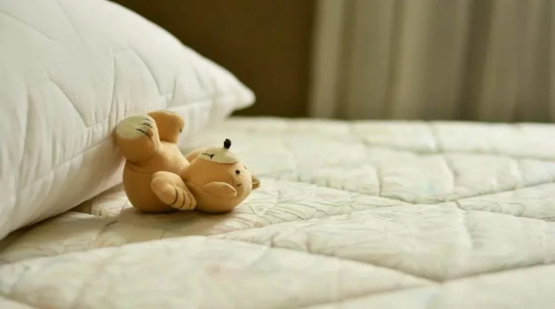 Peluche, literie, éco