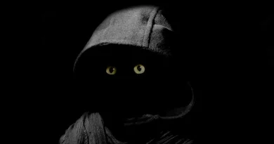 chat, capuche, masqué