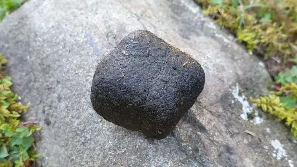 crotte, cubique, australie