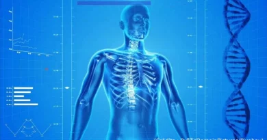 Cors, humain, schéma