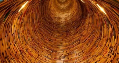 Spirale, livre, bibliothèque