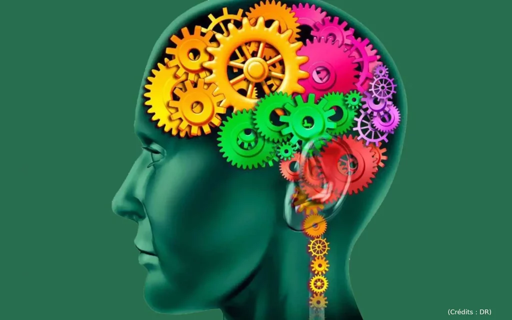 cerveau, rouages, pensée