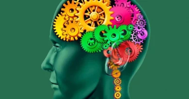 cerveau, rouages, pensée