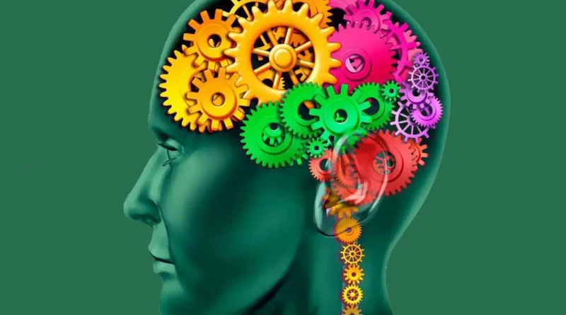 cerveau, rouages, pensée