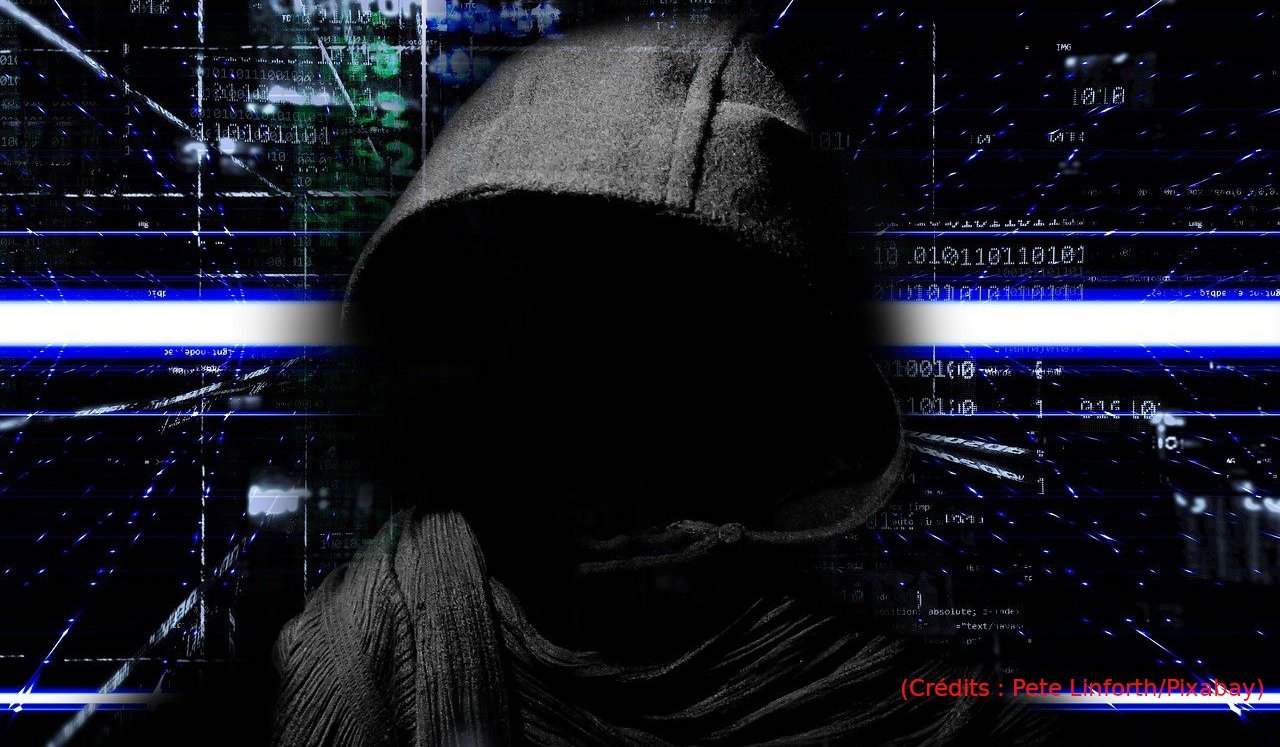 Un nouveau ransomware fait son apparition : cAcTUS