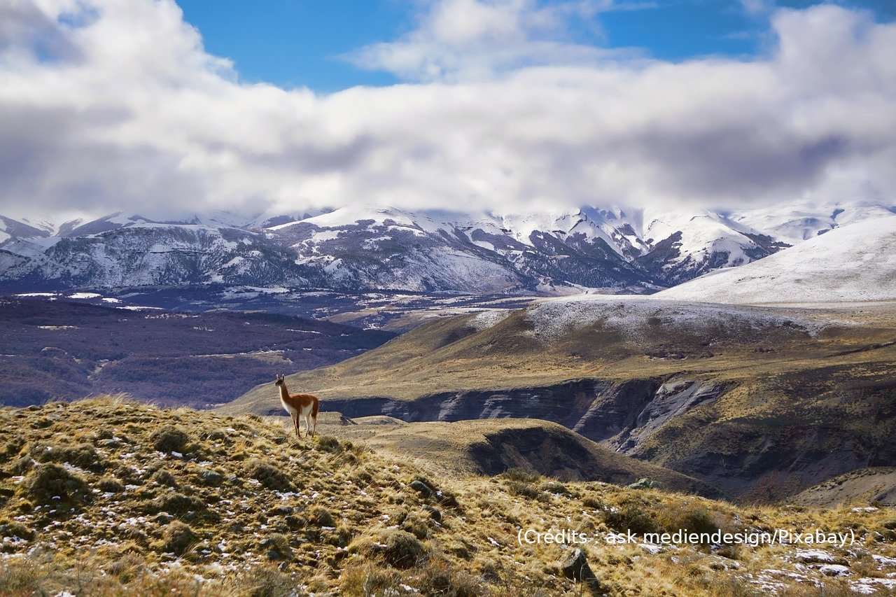Des Malouines à Rio Gallegos : Bienvenido a Patagonia ! (épis. 12/46)