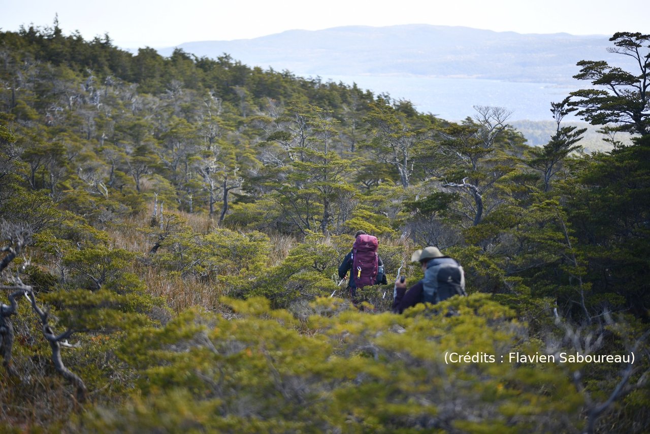 Fanny au GPS, Flavien à la boussole (épis. 19/46)