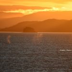 Soleil, baleines, canal