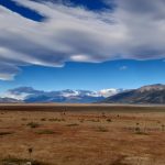 Steppe, Argentine El Calatafe