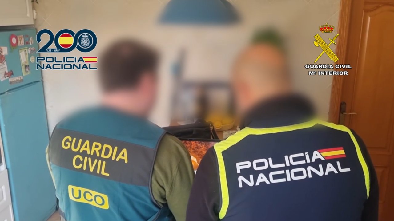Natohub, hacker et étudiant de 18 ans arrêté en Espagne