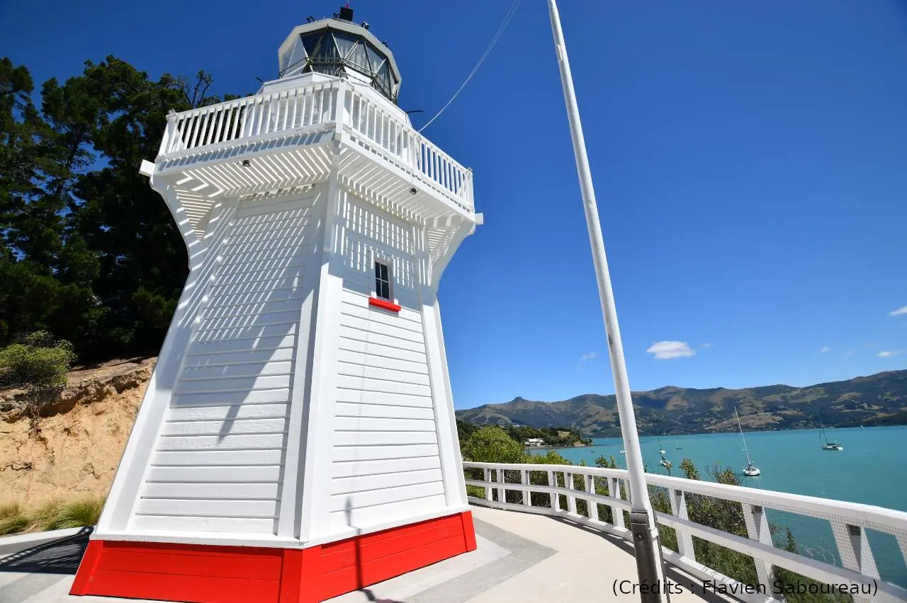 Sous le ciel ensoleillé d’Akaroa (33/55)