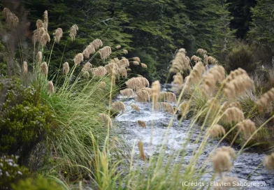 La beauté des lacs d’émeraude (42/55)