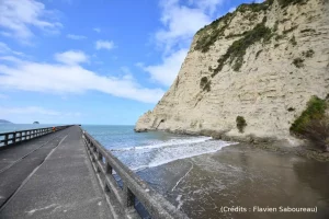 Tolaga bay, New Zealand, ocena