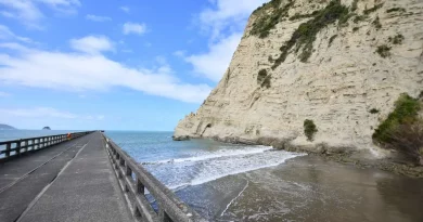 Tolaga bay, New Zealand, ocena