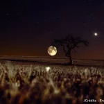 Lune, champ, nuit
