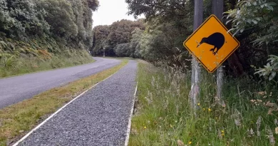 Kiwi, route, New-Zeland