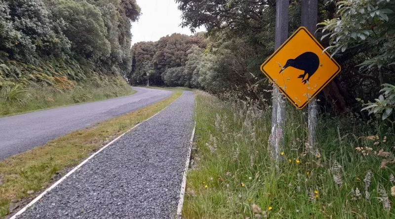 Kiwi, route, New-Zeland