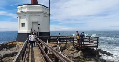 Plage, phare, océan