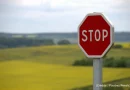 Stop, colza, france