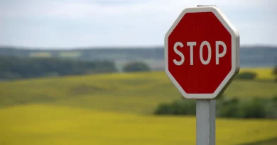 Stop, colza, france
