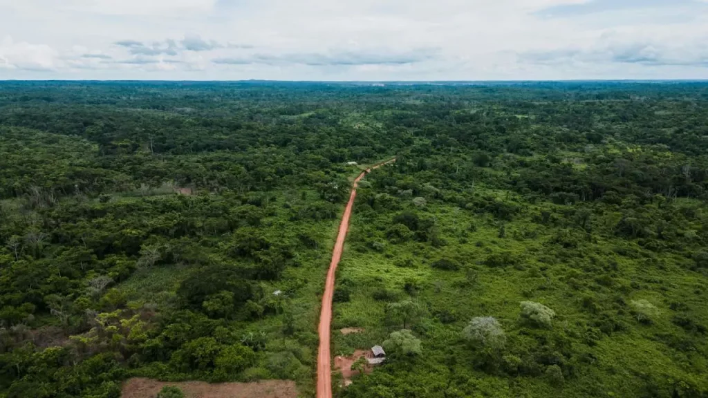 Trace, route, Afrique