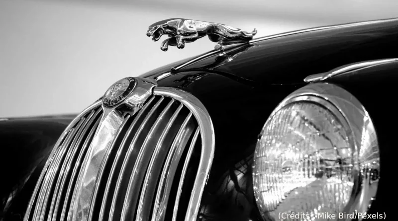 Jaguar, voiture, UK