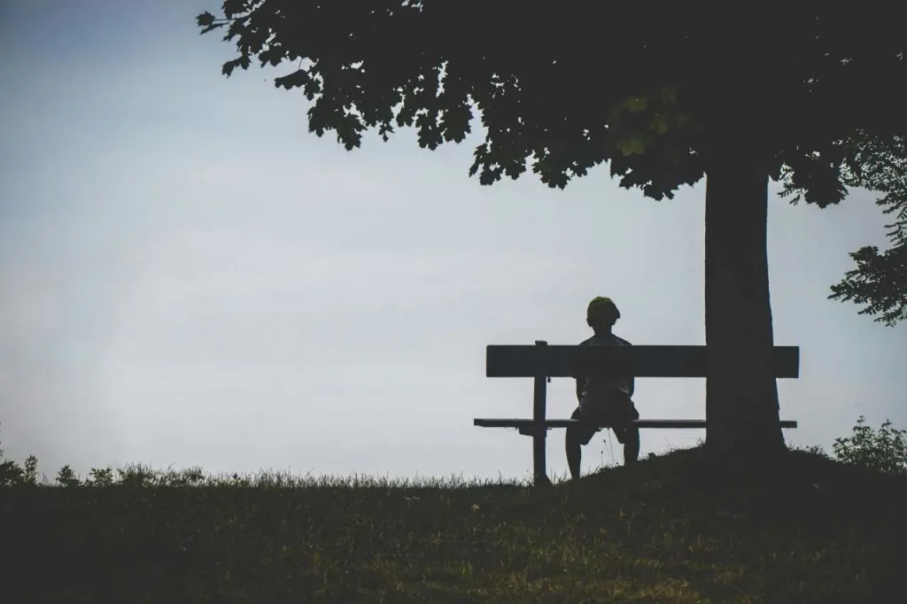 silence, arbre, banc