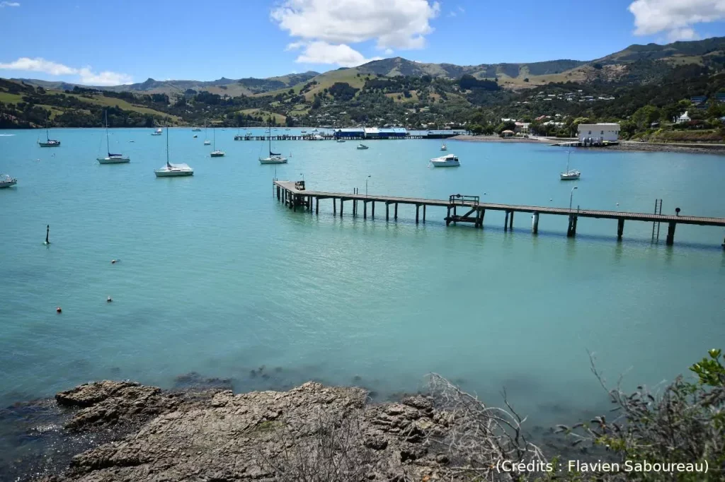 Kaïkoura, port, Nouvelle-Zélande