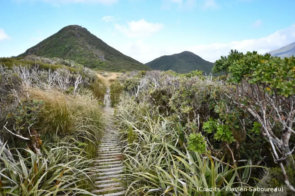 Taranaki, Pouākai, new-zealand