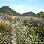 Taranaki, Pouākai, new-zealand