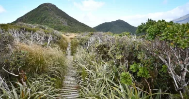 Taranaki, Pouākai, new-zealand