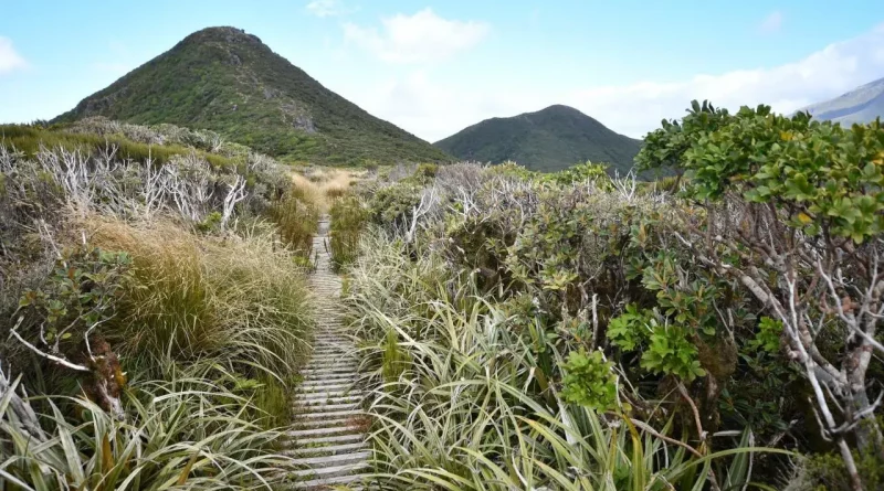 Taranaki, Pouākai, new-zealand