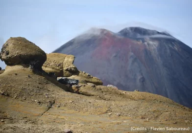 Une journée en approche de Tongariro (40/55)