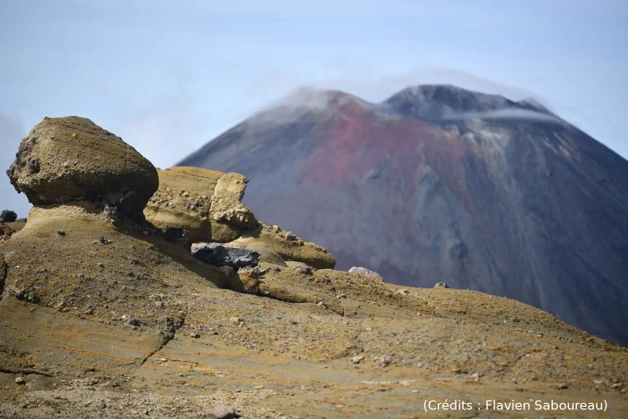 Une journée en approche de Tongariro (40/55)