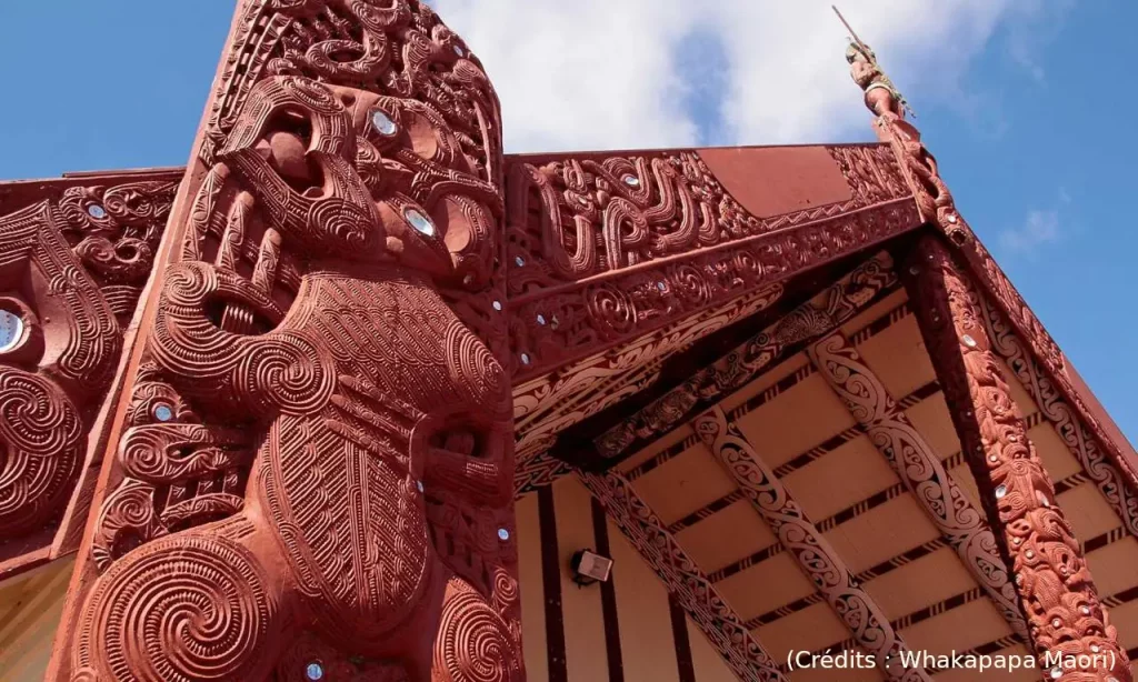 Whakapapa, Maori, généalogie