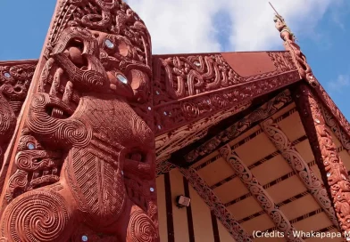 Whakapapa, Maori, généalogie