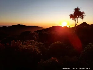 Soleil, coucher, nature