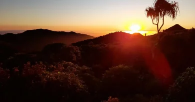 Soleil, coucher, nature