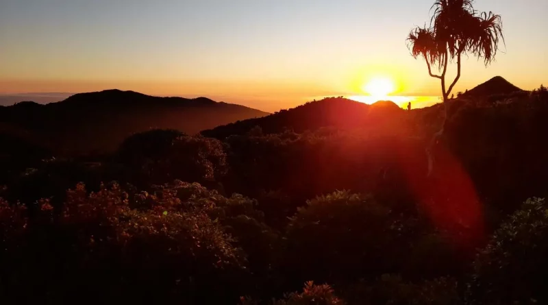 Soleil, coucher, nature