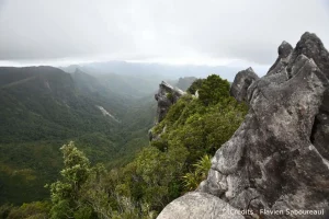 Nature, Pinacles, New-zealand