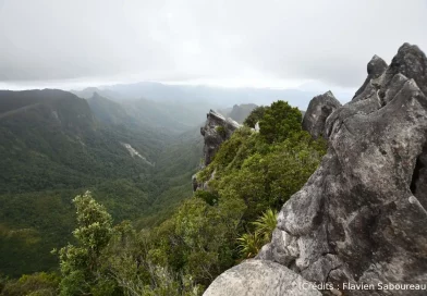 Nature, Pinacles, New-zealand