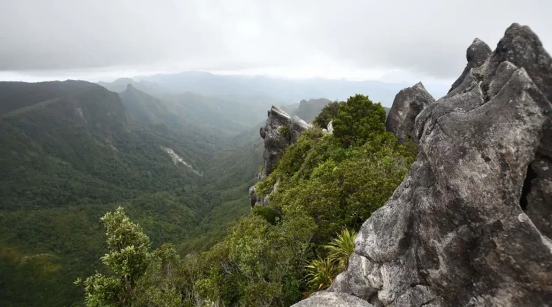 Nature, Pinacles, New-zealand