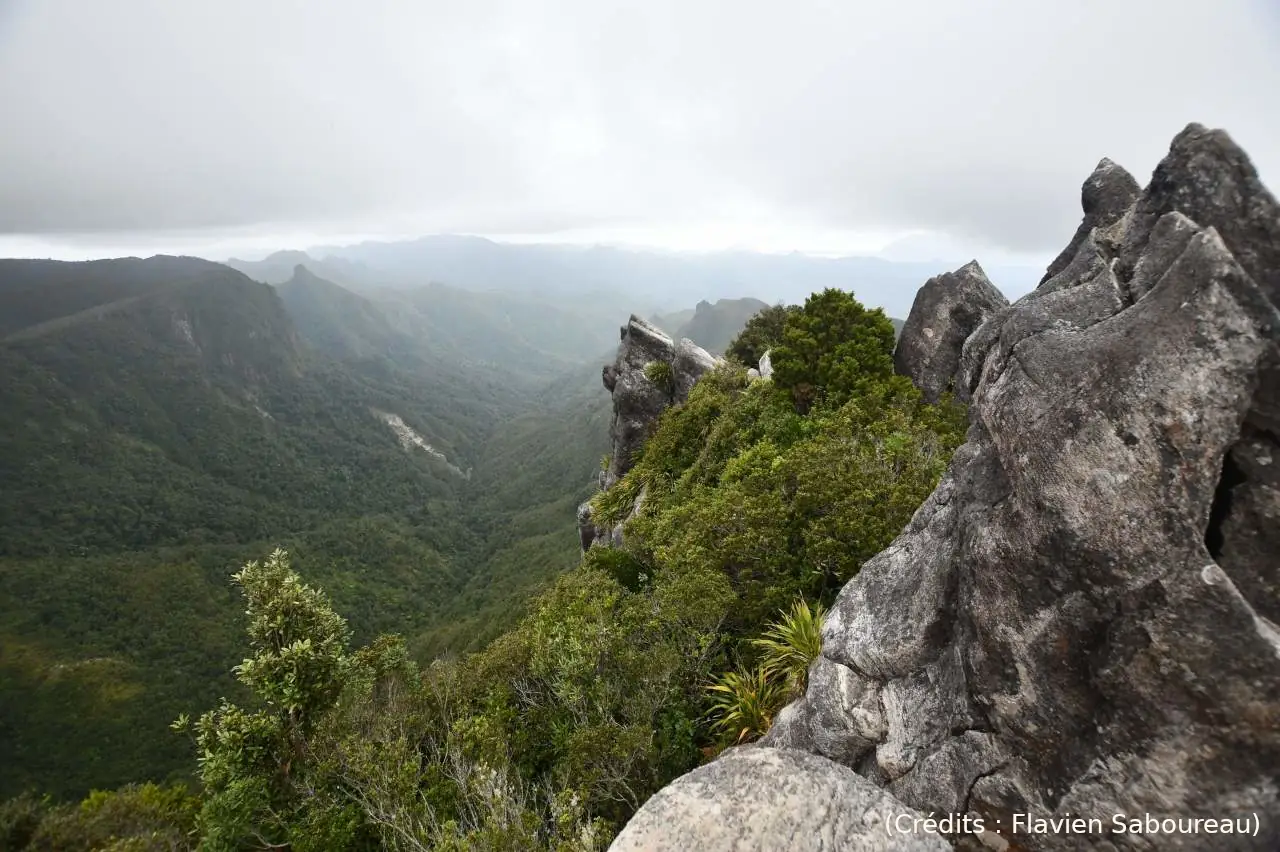 Vers les Pinnacles et au-delà (49/55)