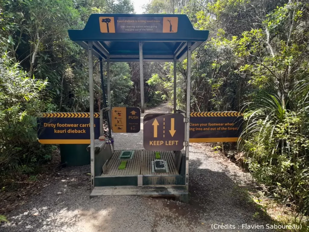 Sas, sécurité, bio