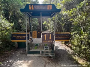 Sas, sécurité, bio